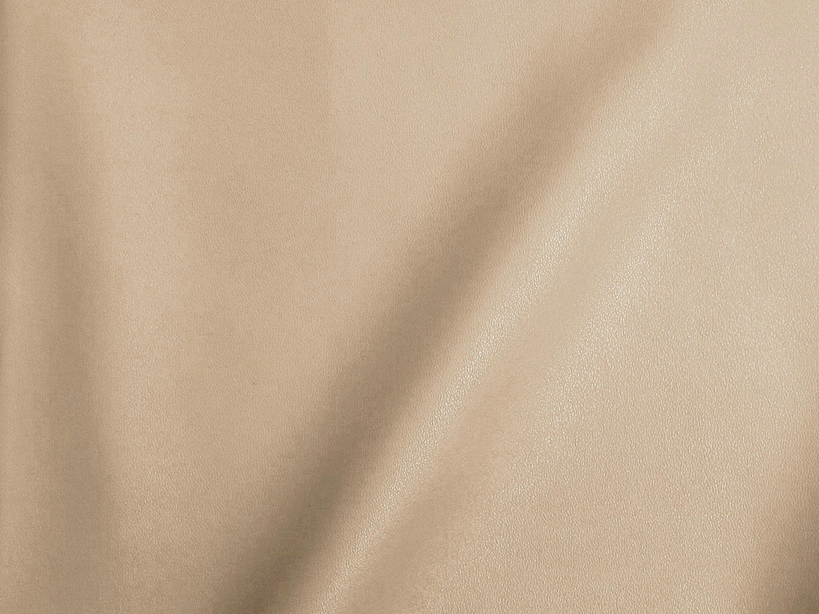 M11CR002300036