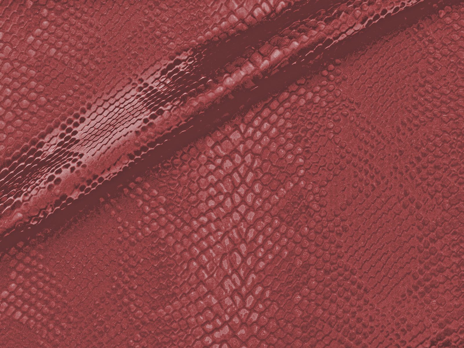 M11CR014200005