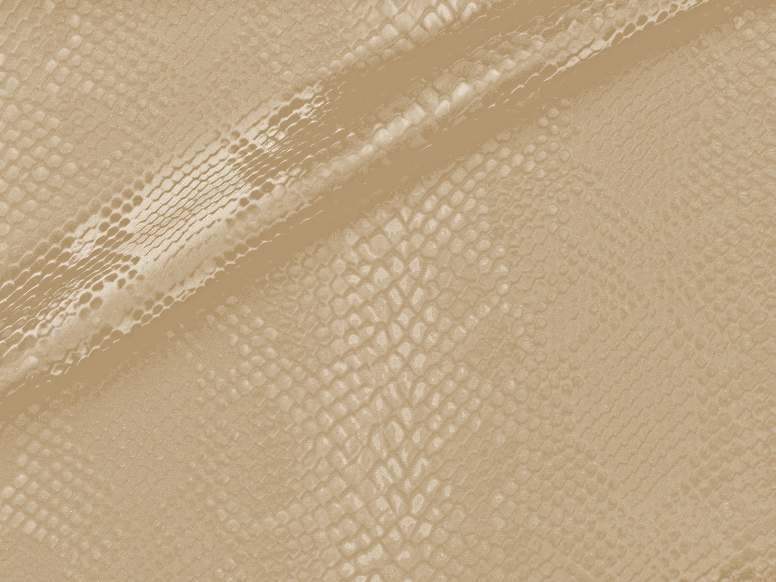 M11CR014200007