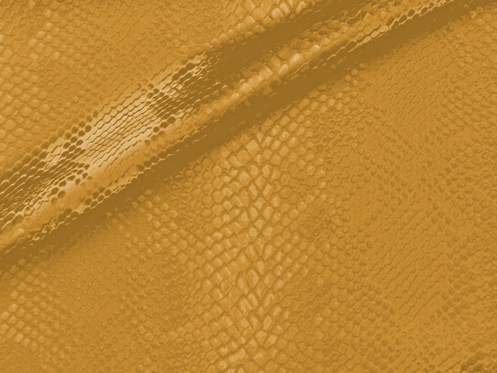 M11CR014200011