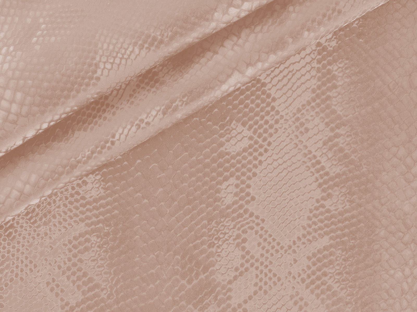 M11CR014200013N