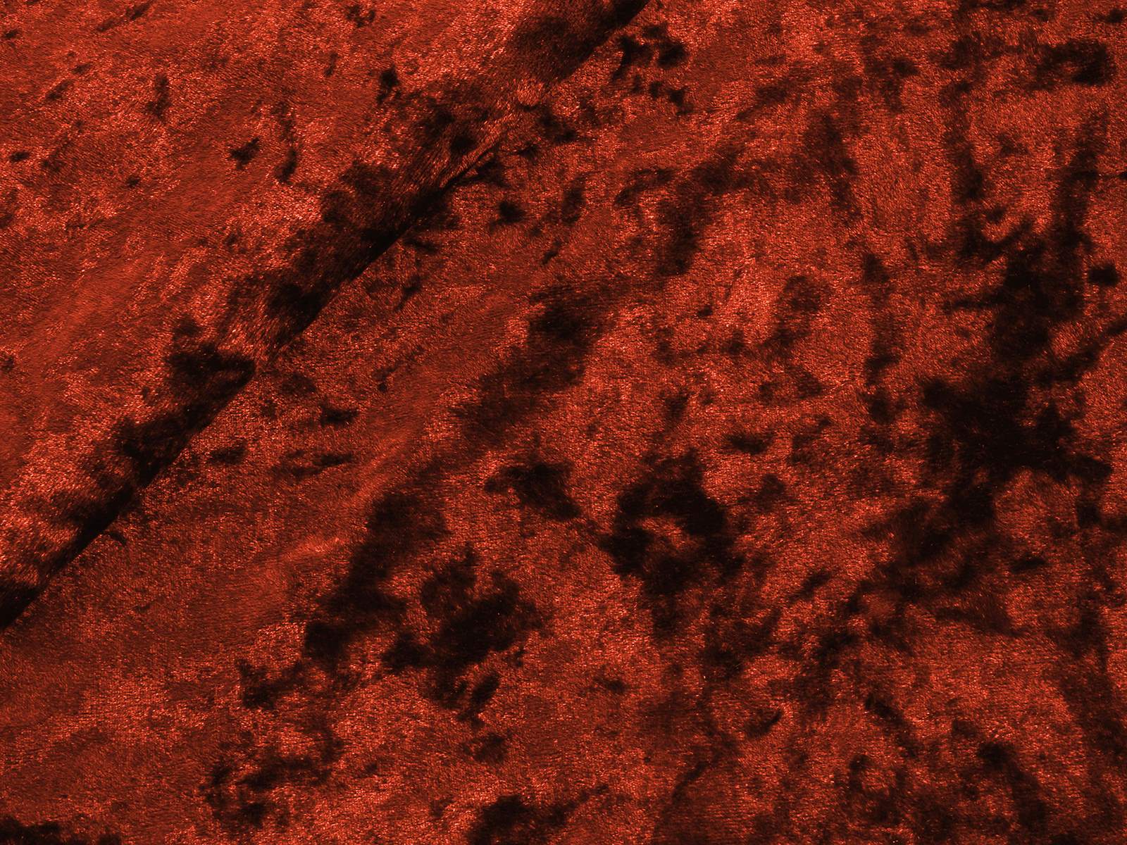 M11MM023800010