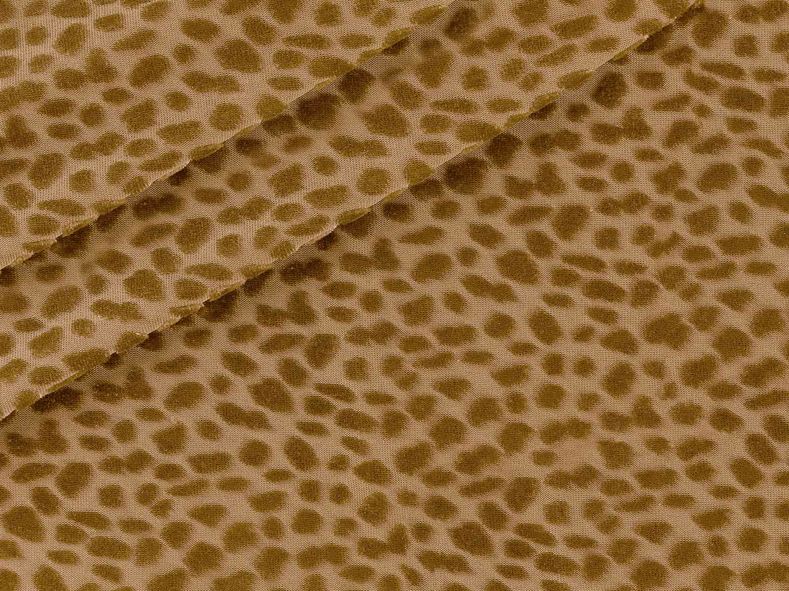 M11MM051800002