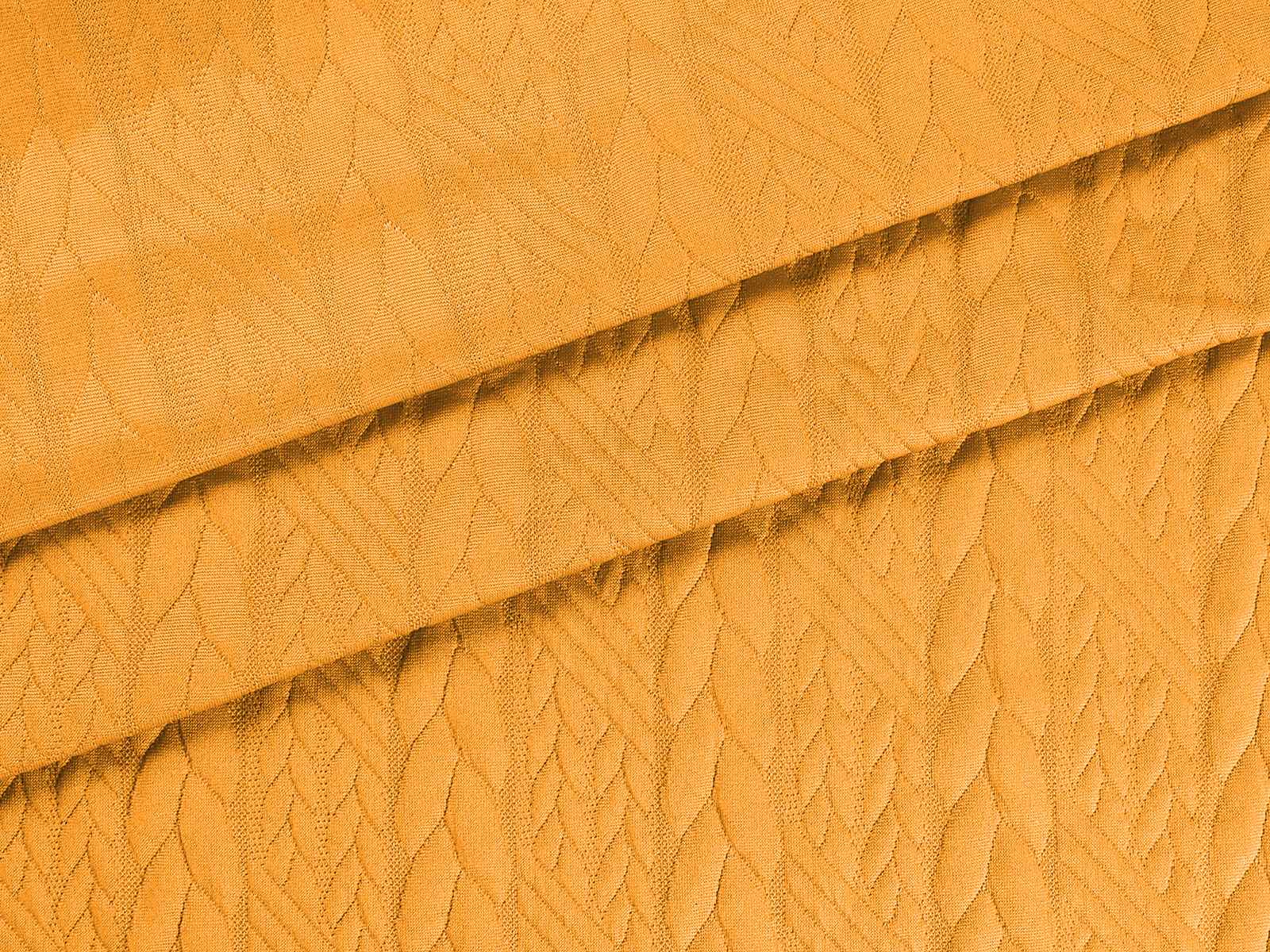M11MP031800011