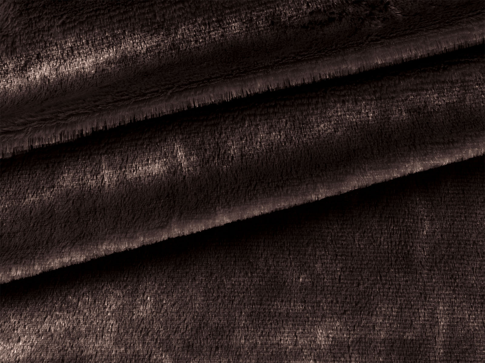 M11PL005600004