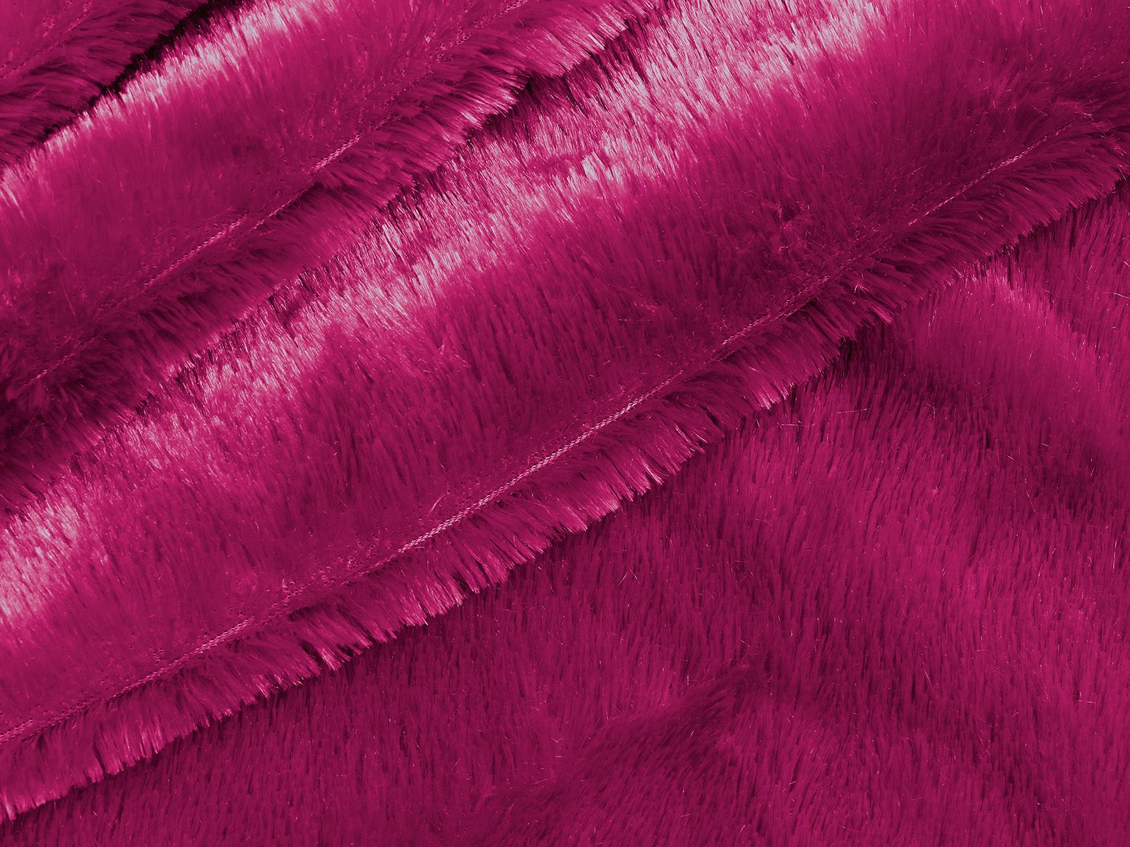 M11PL005600007