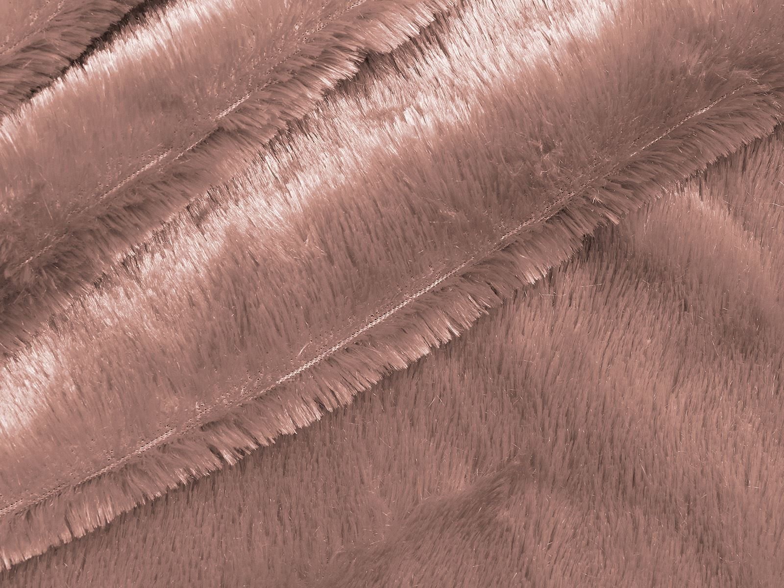 M11PL005600008