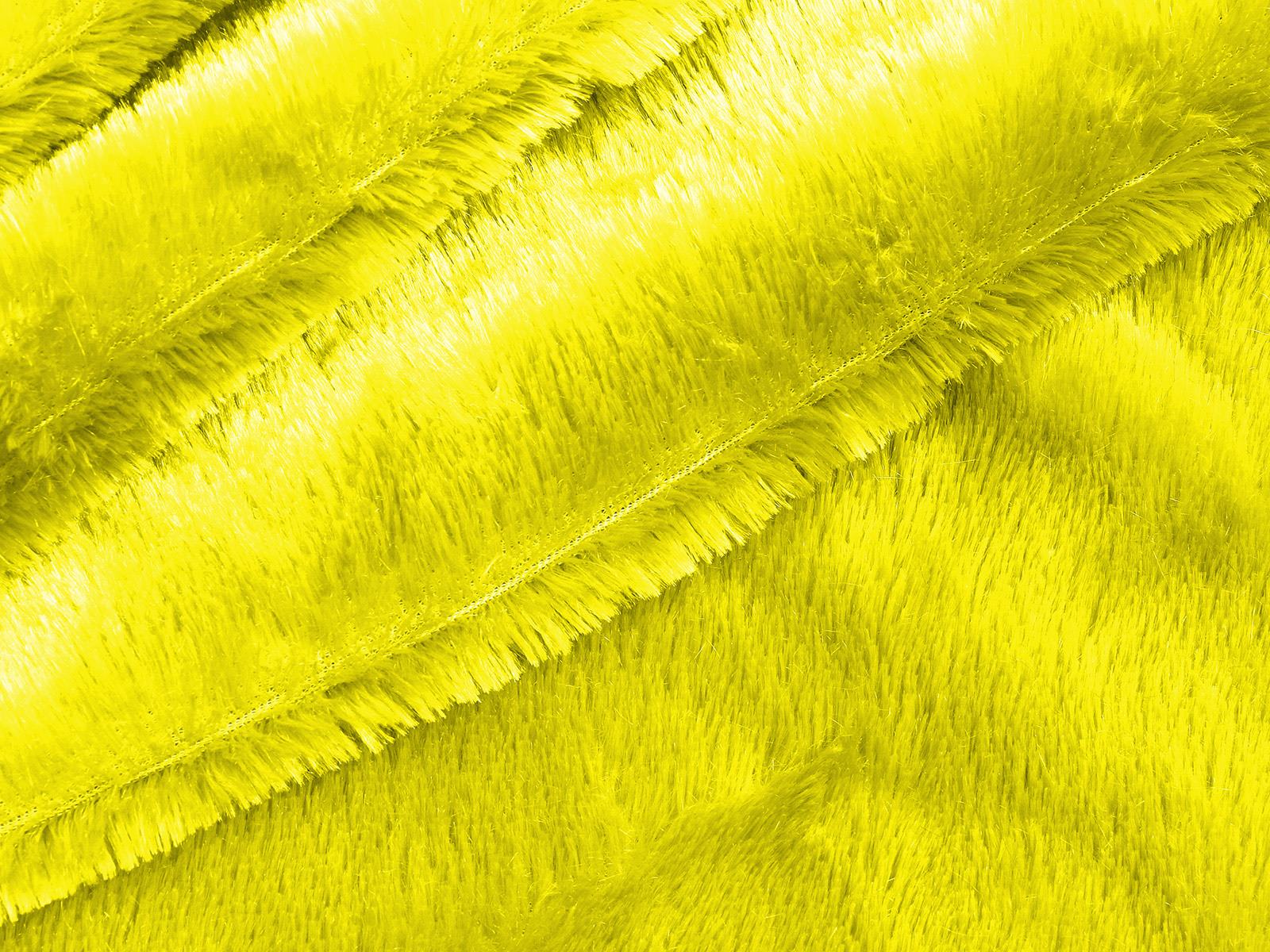 M11PL005600009