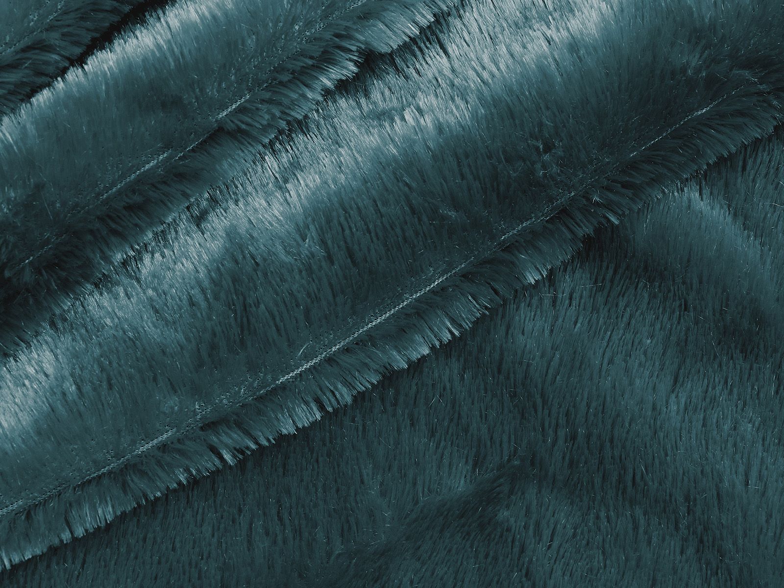 M11PL005600011