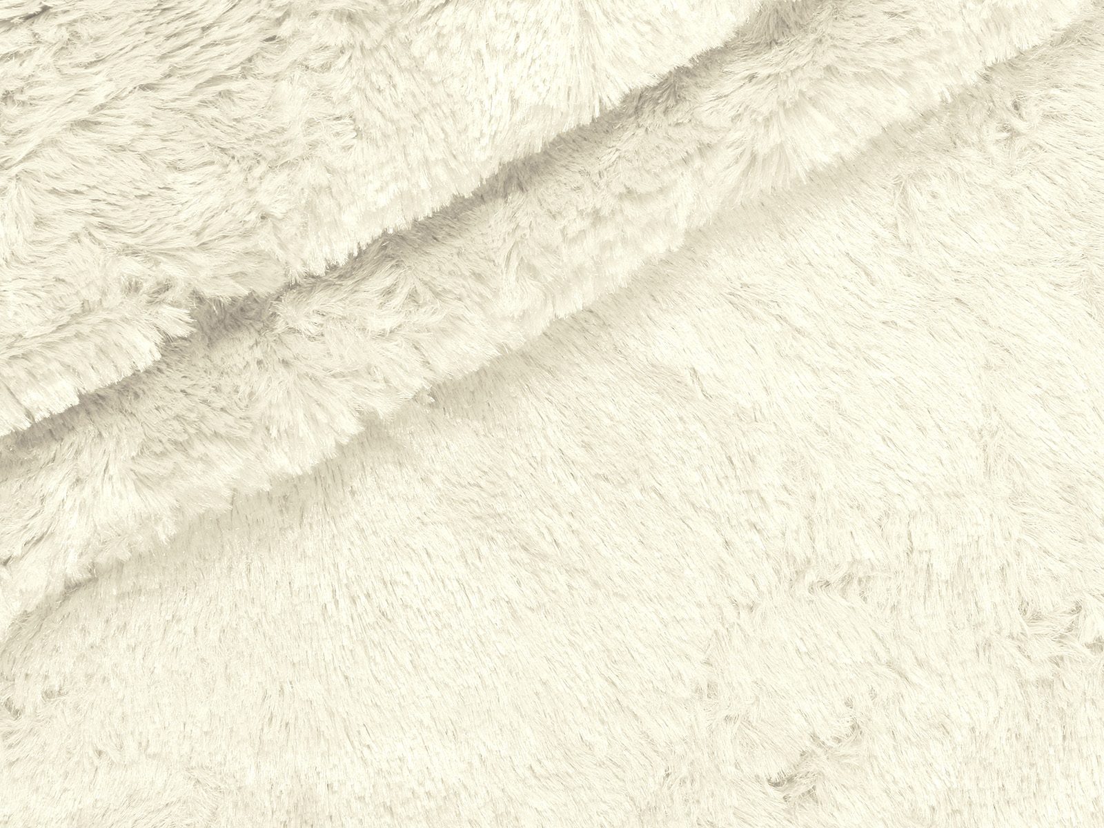 M11PL005800002
