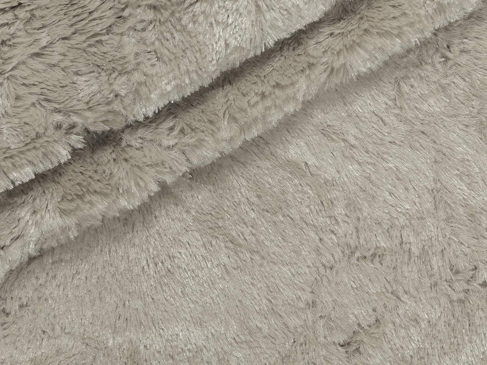 M11PL005800006