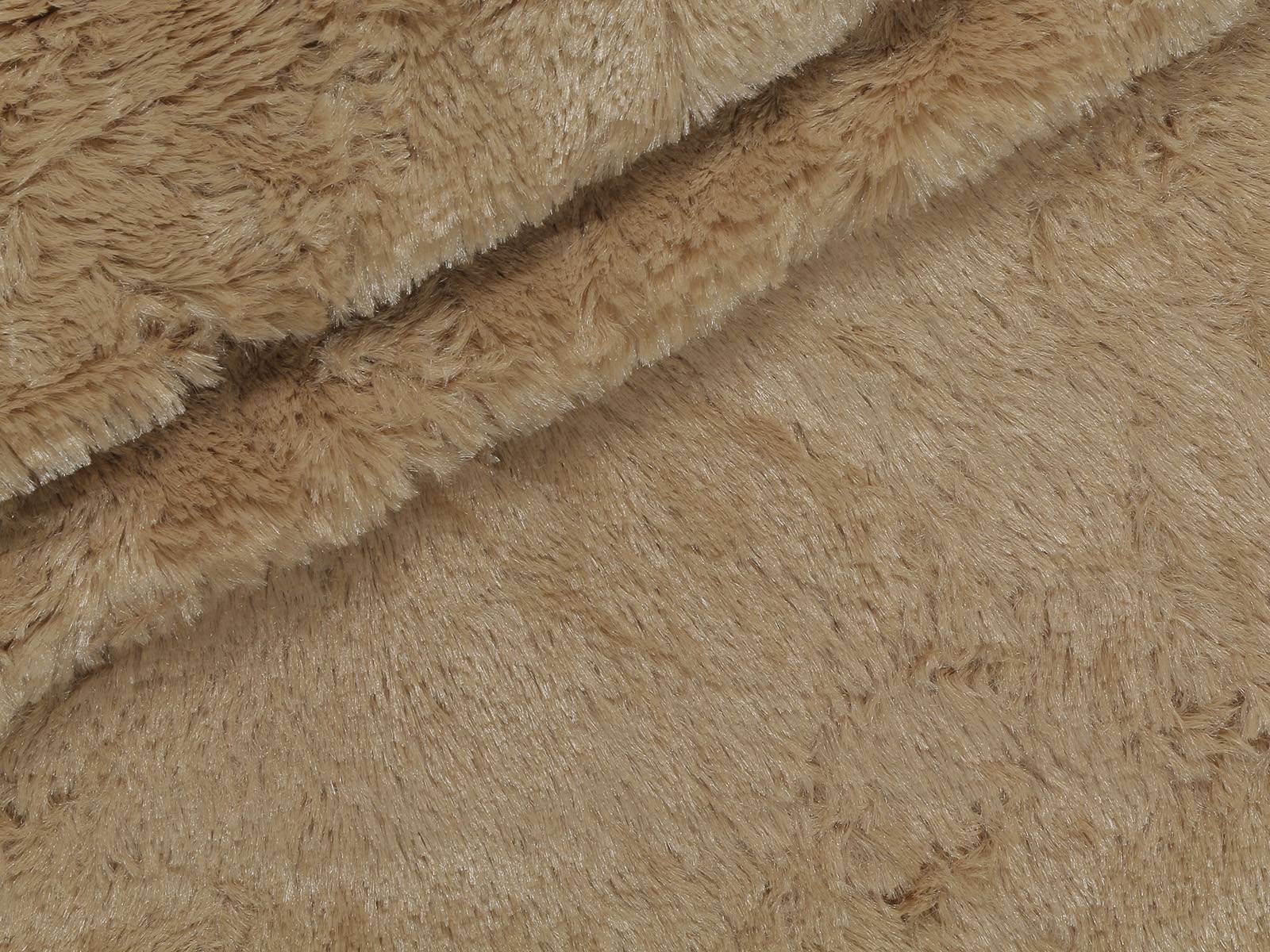 M11PL005800008