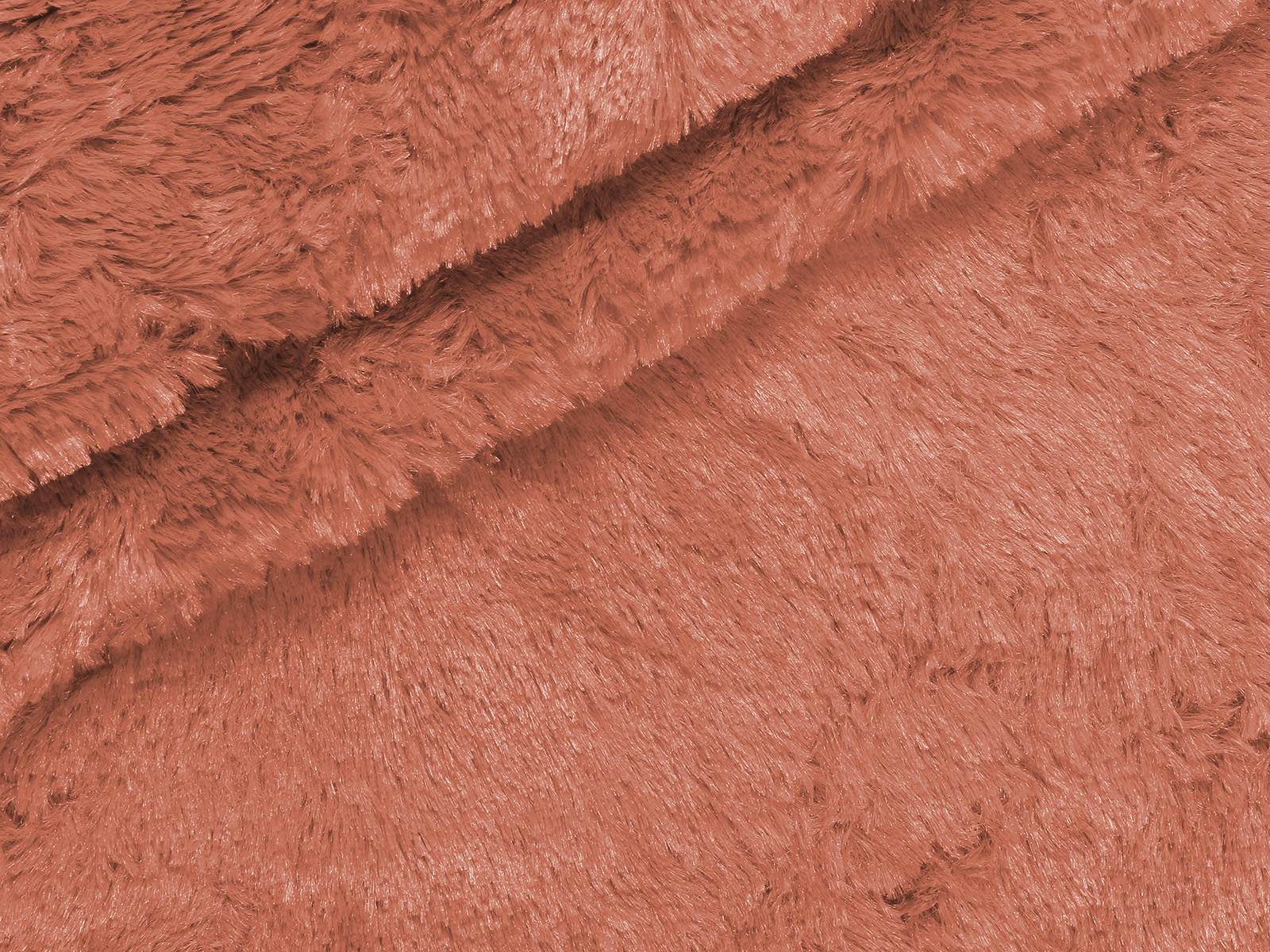 M11PL005800012