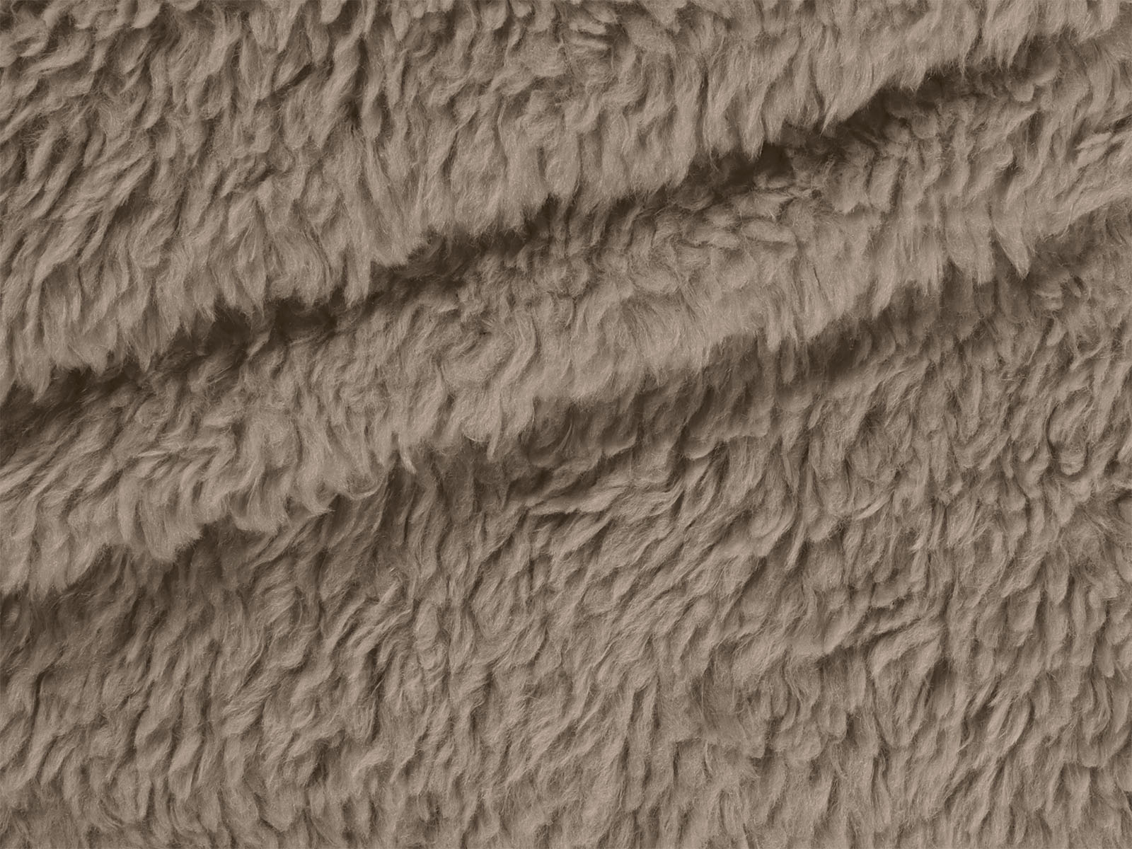 M11PL006300002