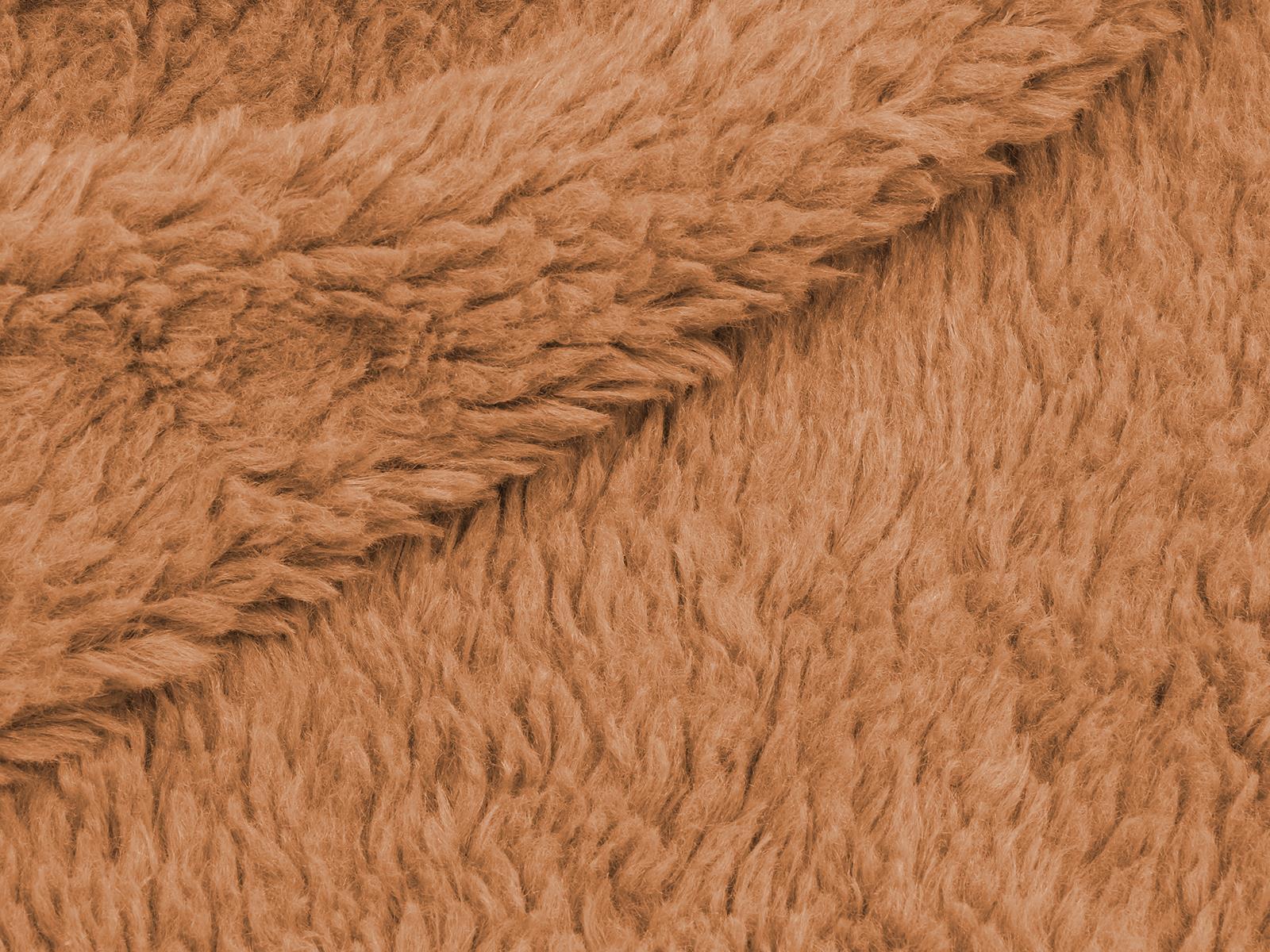 M11PL006300003