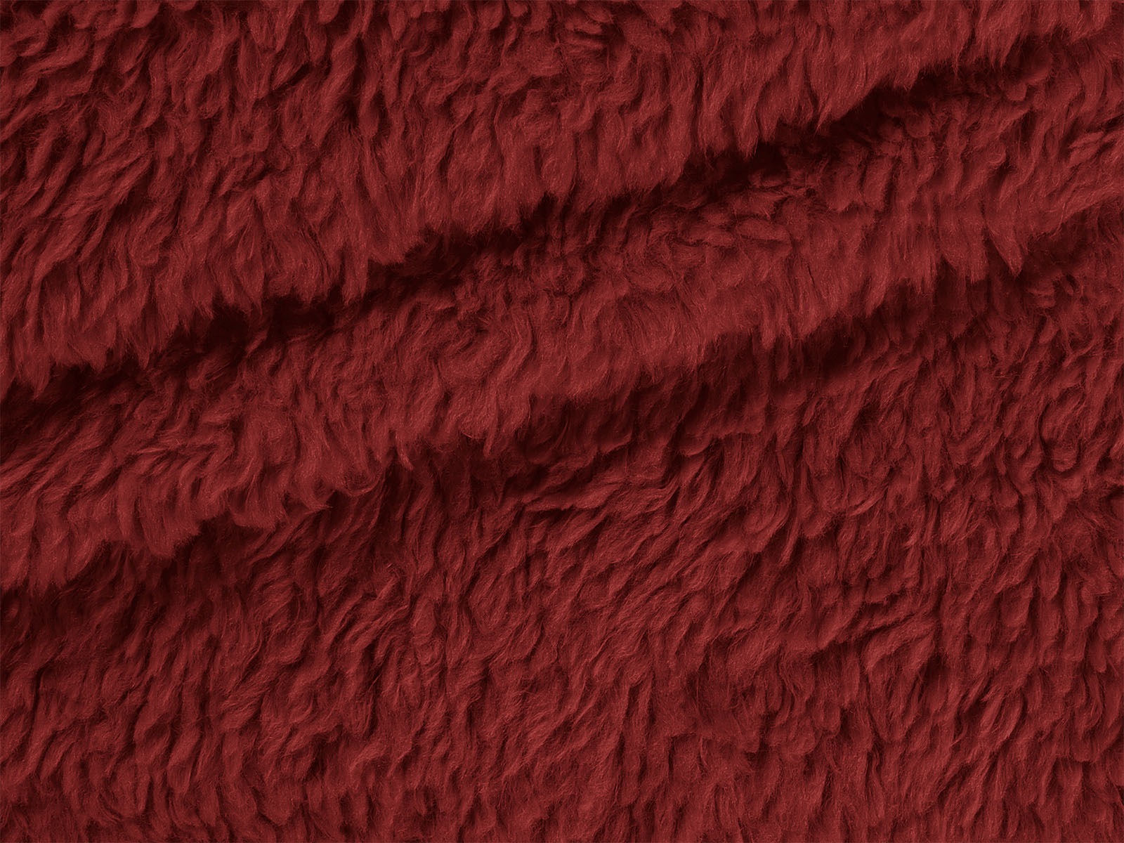 M11PL006300007