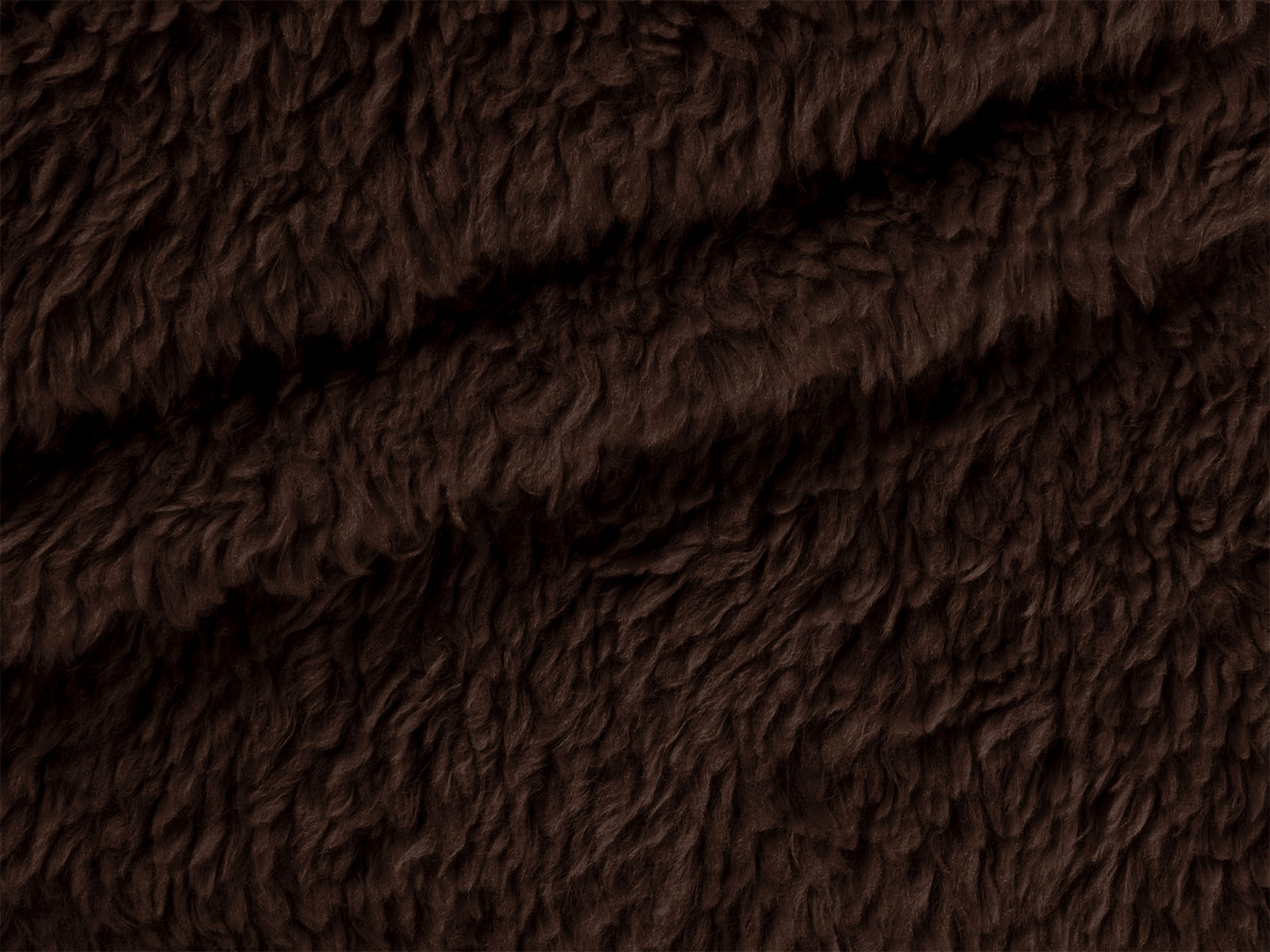 M11PL006300009