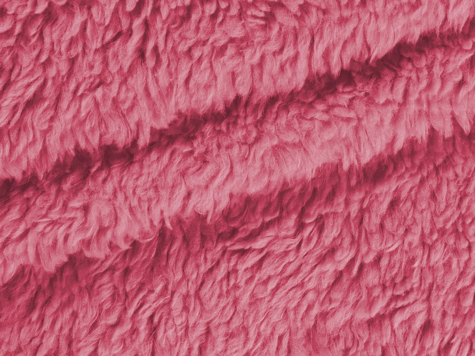 M11PL006300011
