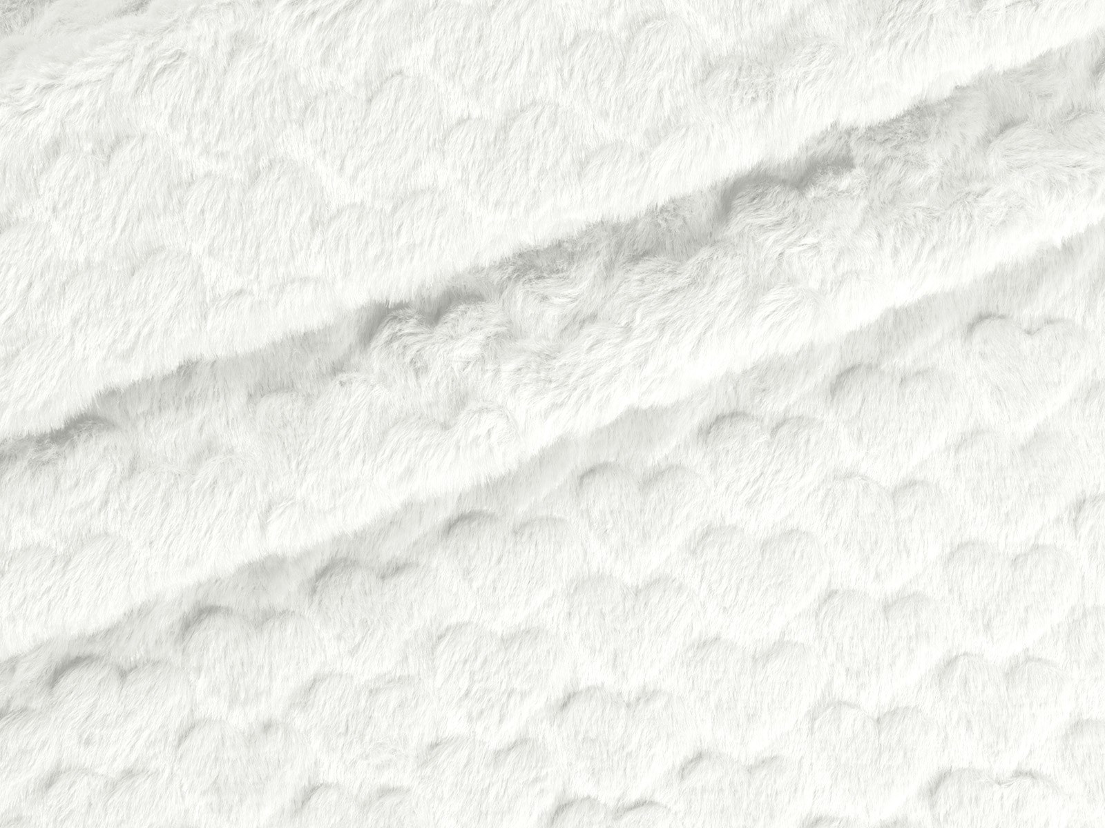 M11PL006500001