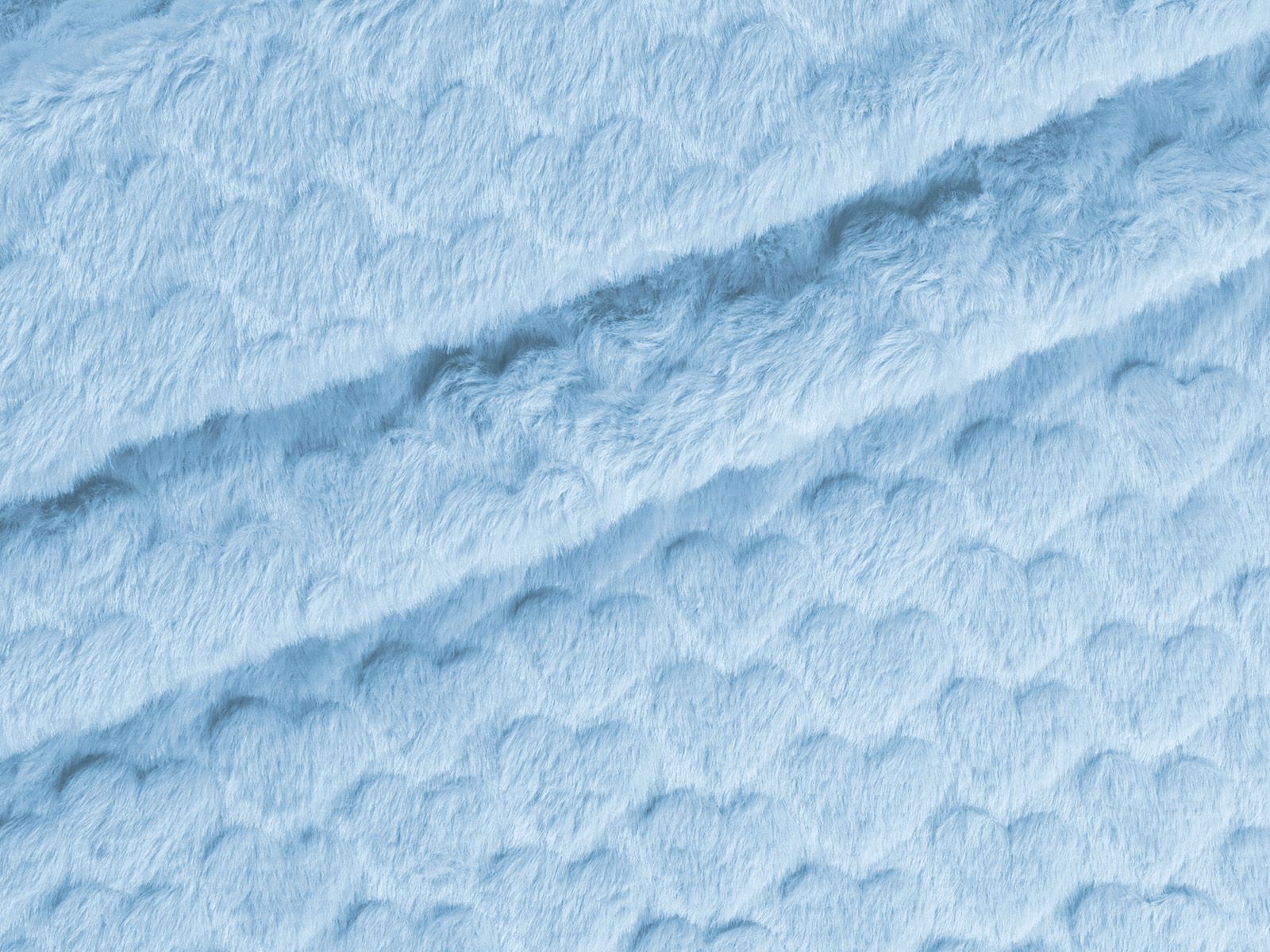 M11PL006500003