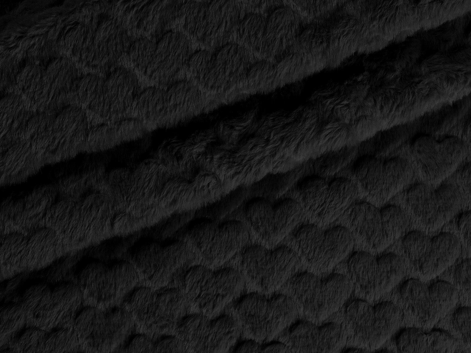 M11PL006500004