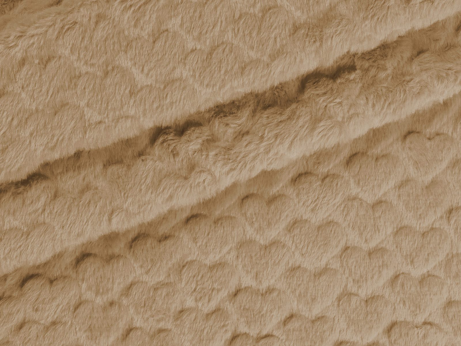 M11PL006500009
