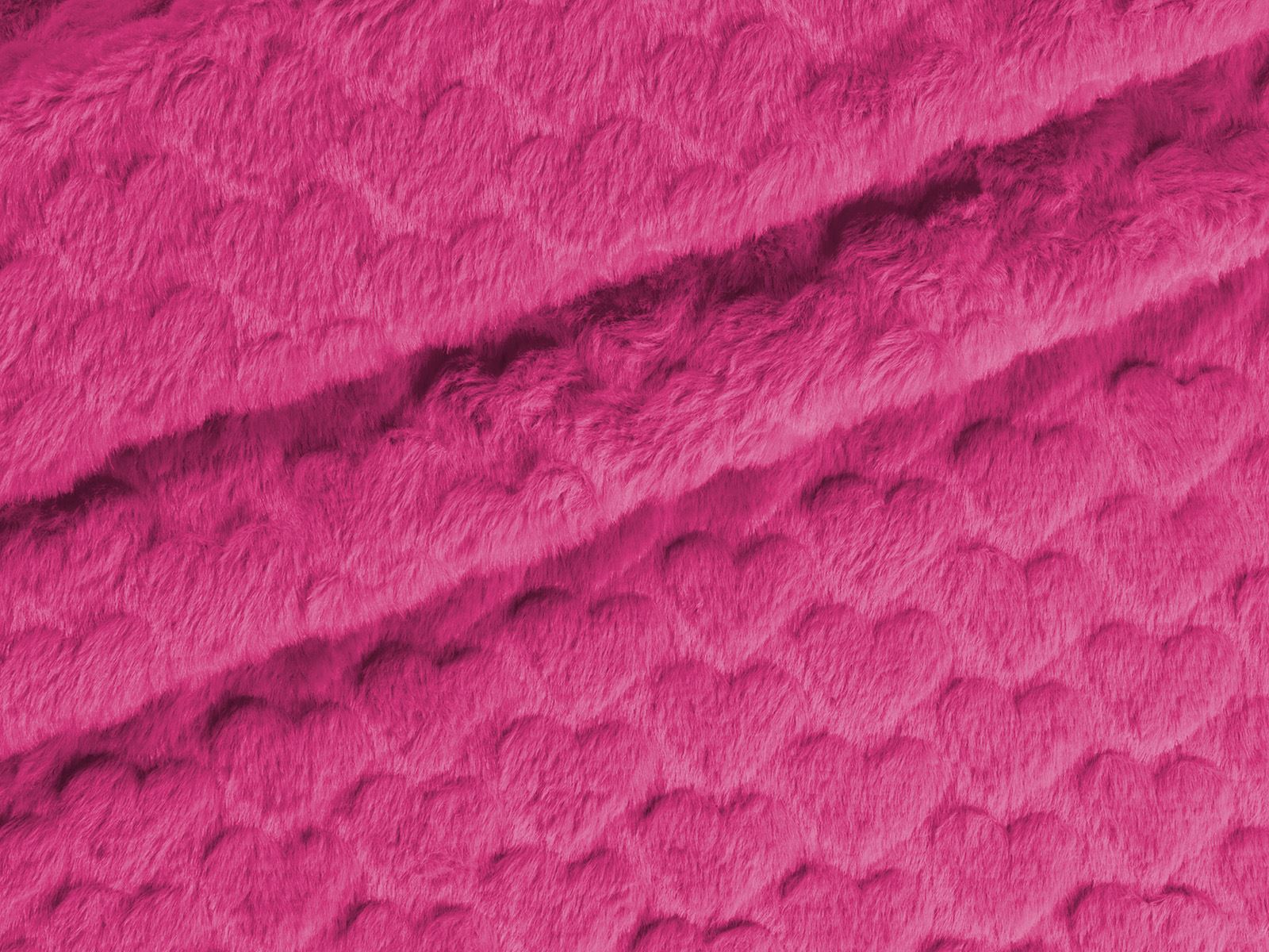 M11PL006500011