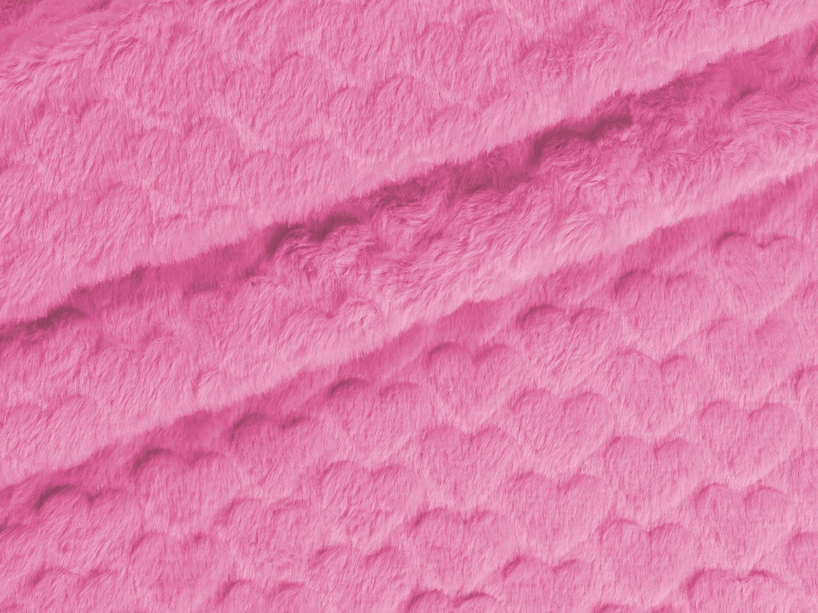 M11PL006500012