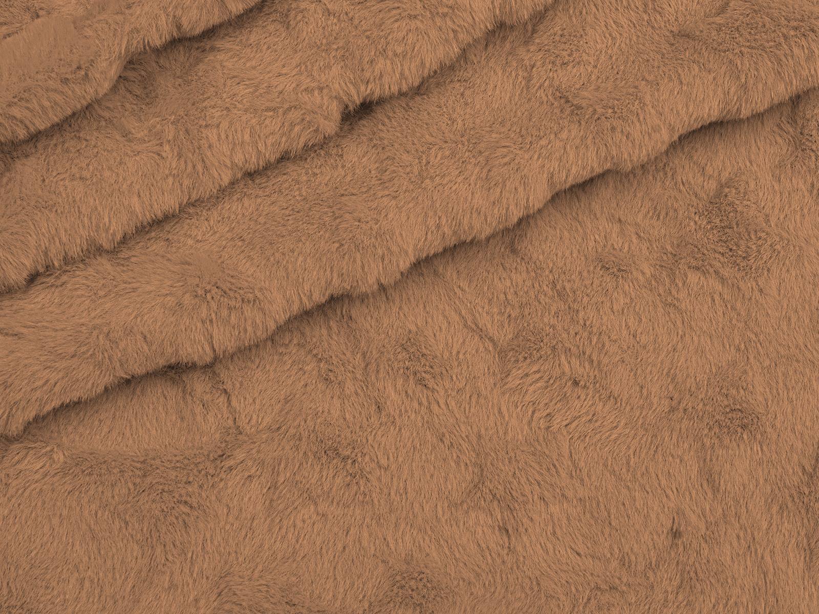 M11PL006900003