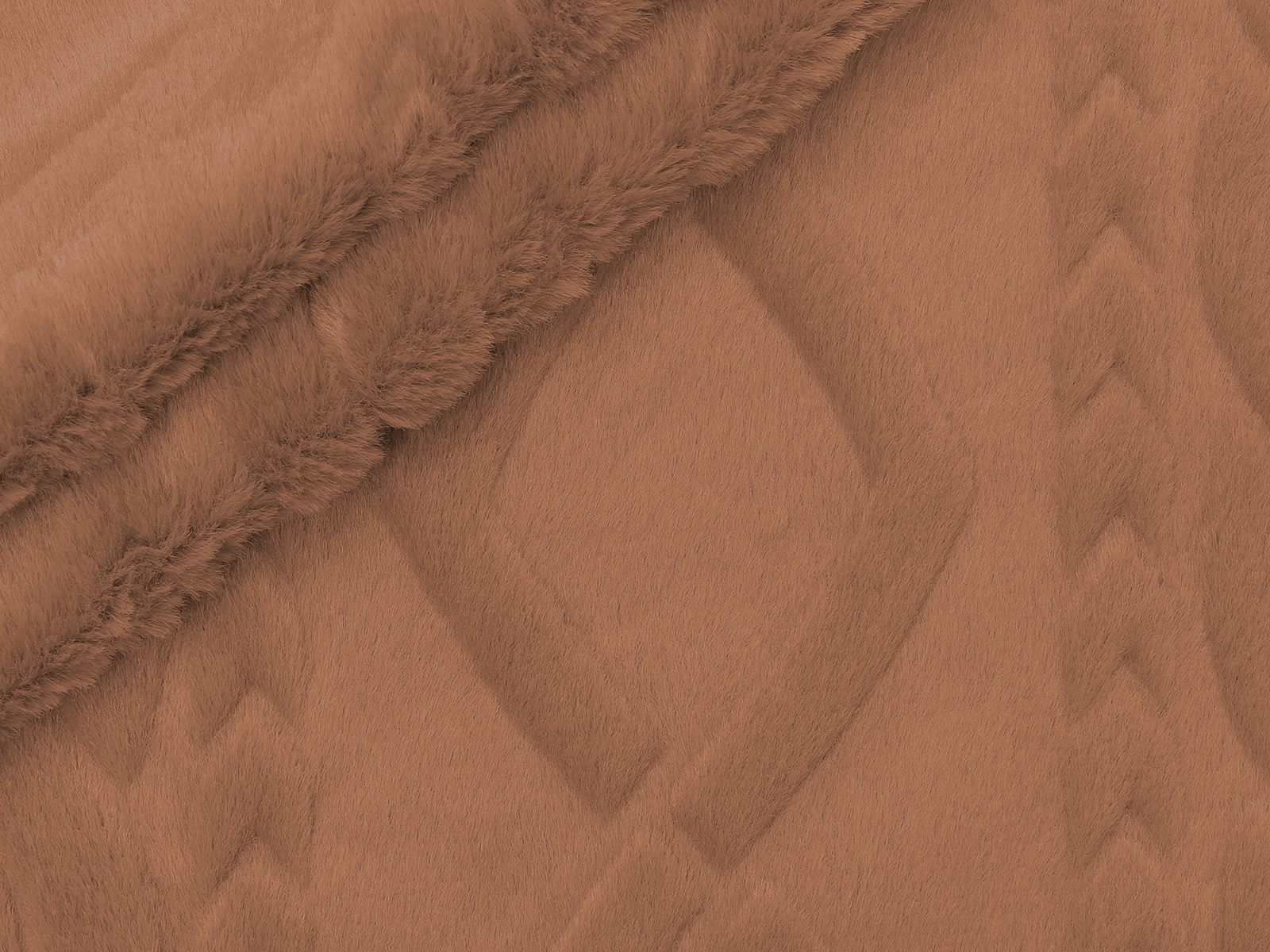 M11PL007200006