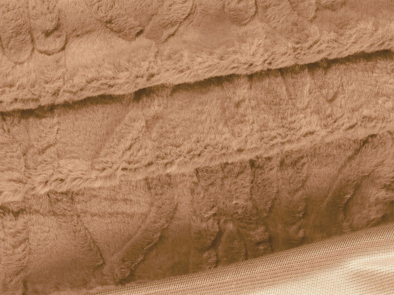 M11PL007200008