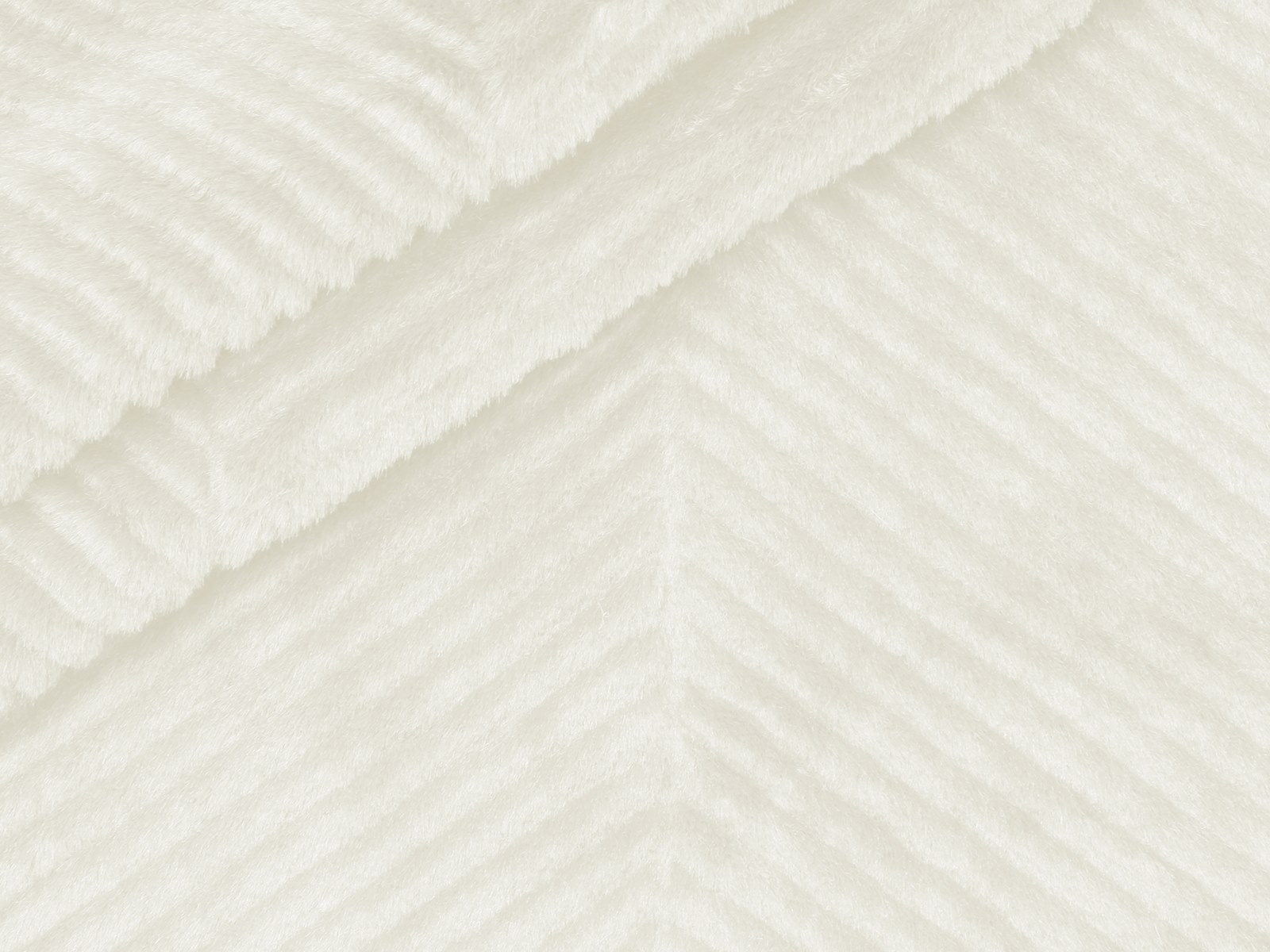 M11PL007300003