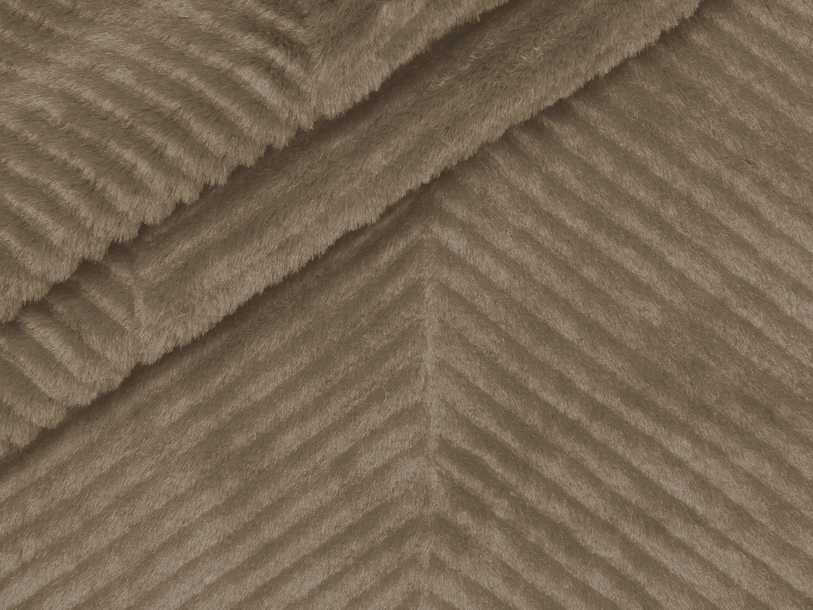 M11PL007300005