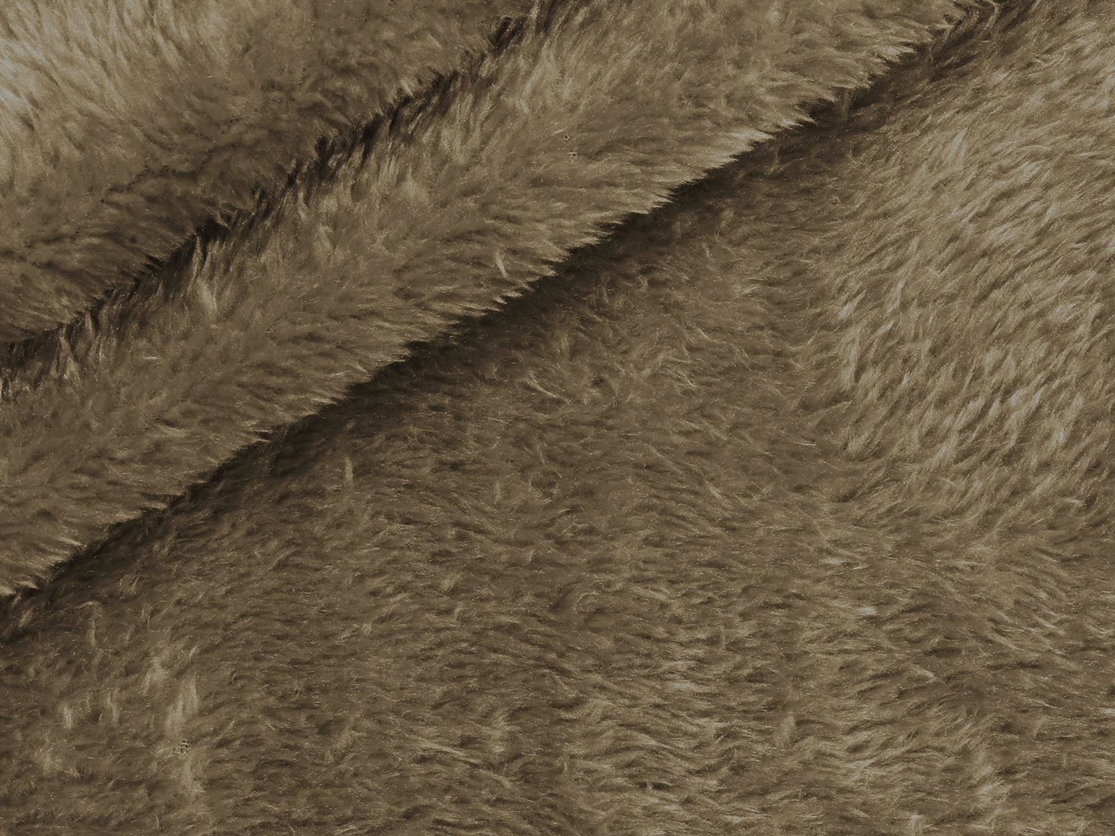 M11PL007800003