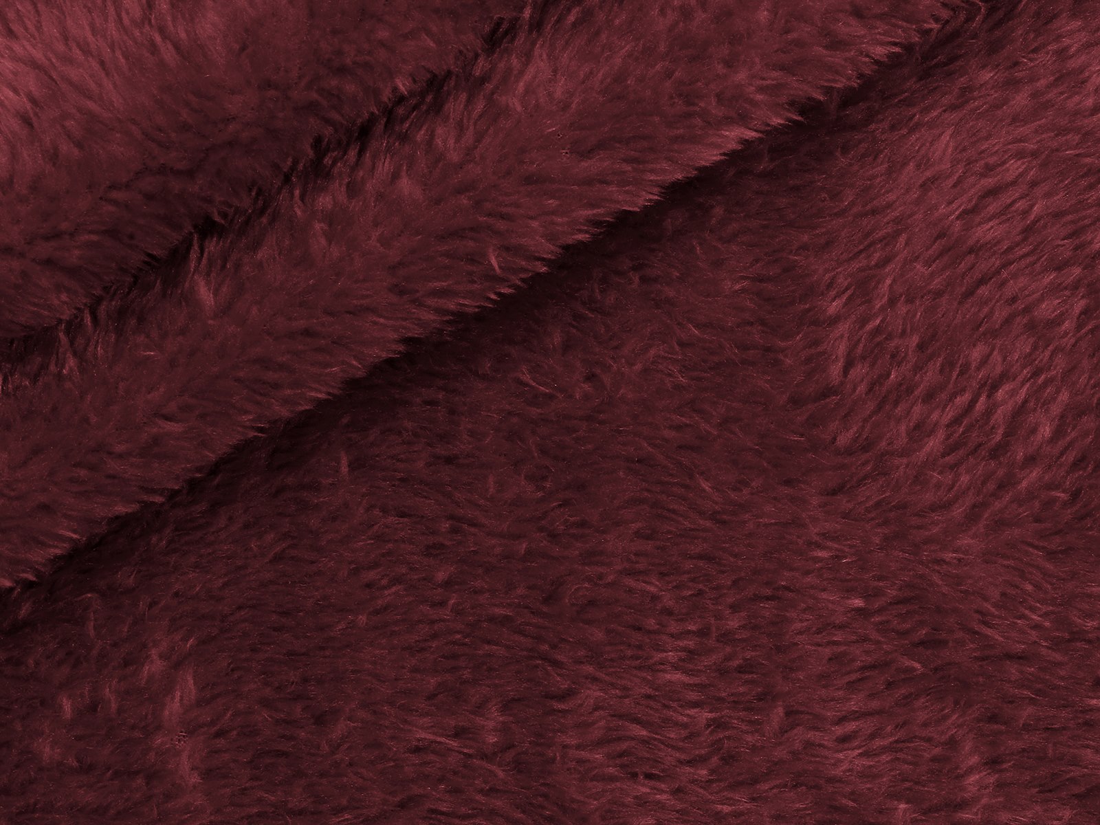 M11PL007800004