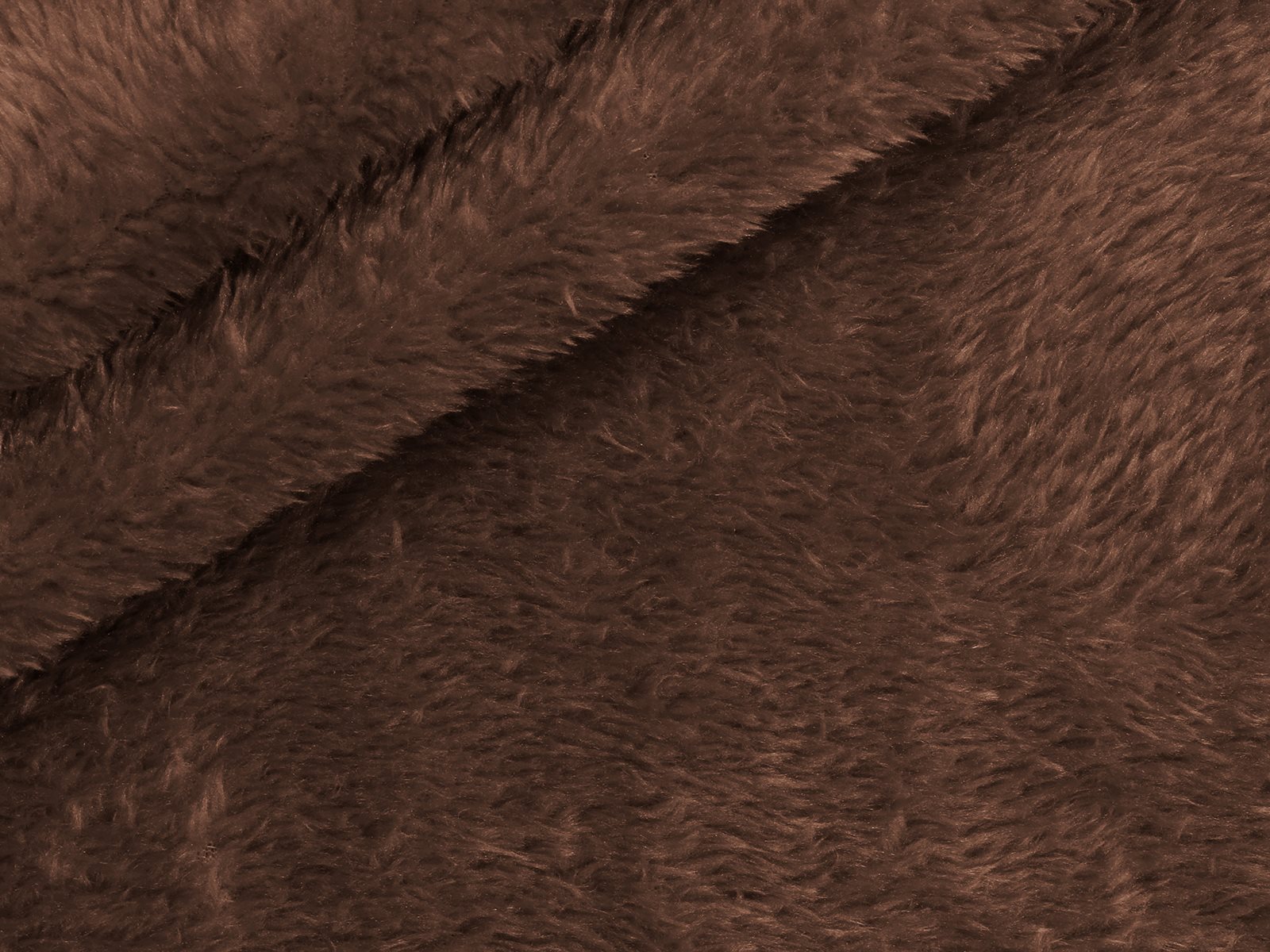 M11PL007800005