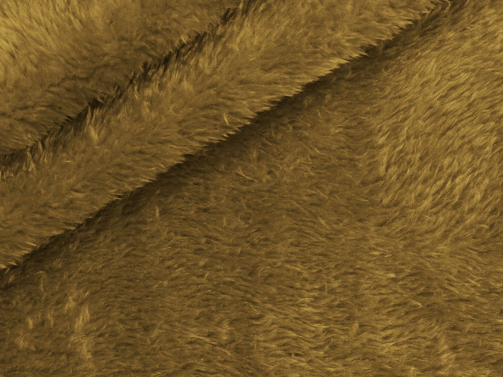 M11PL007800006