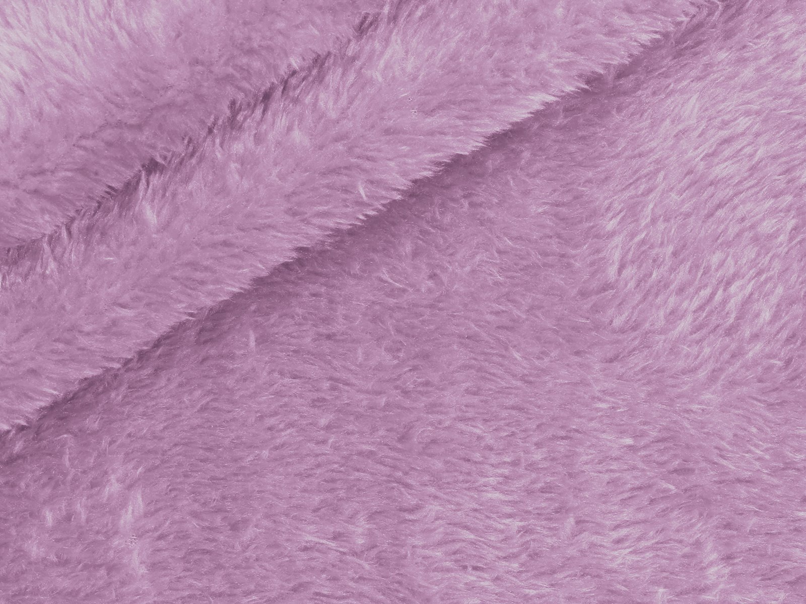 M11PL007800013