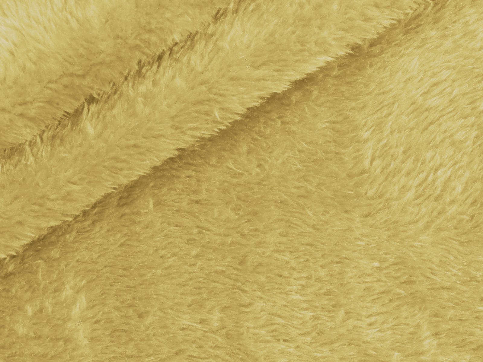 M11PL007800014