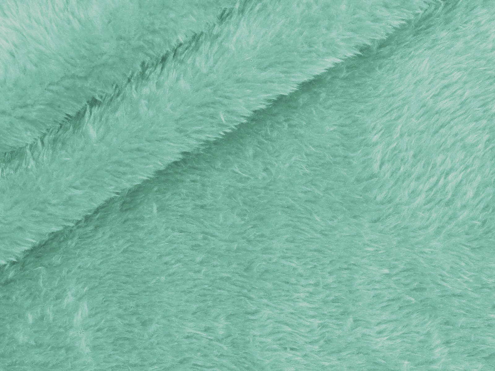 M11PL007800015