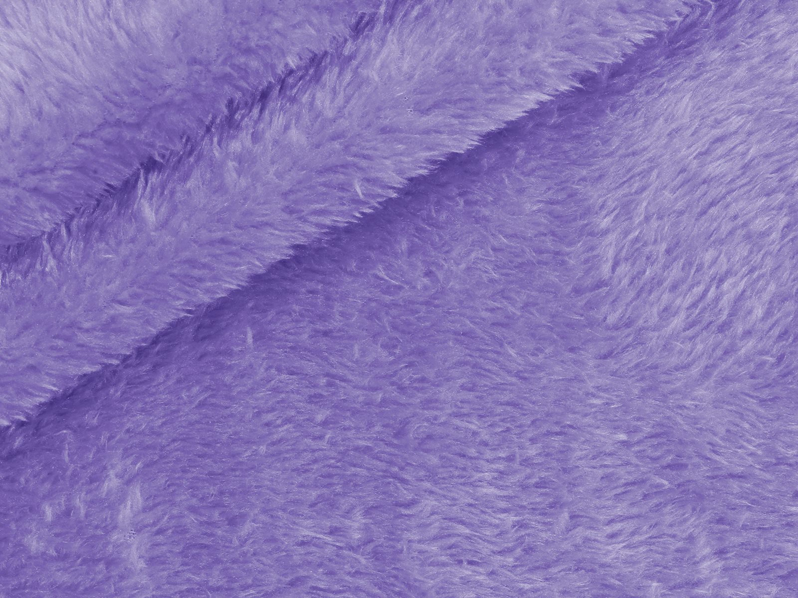 M11PL007800019