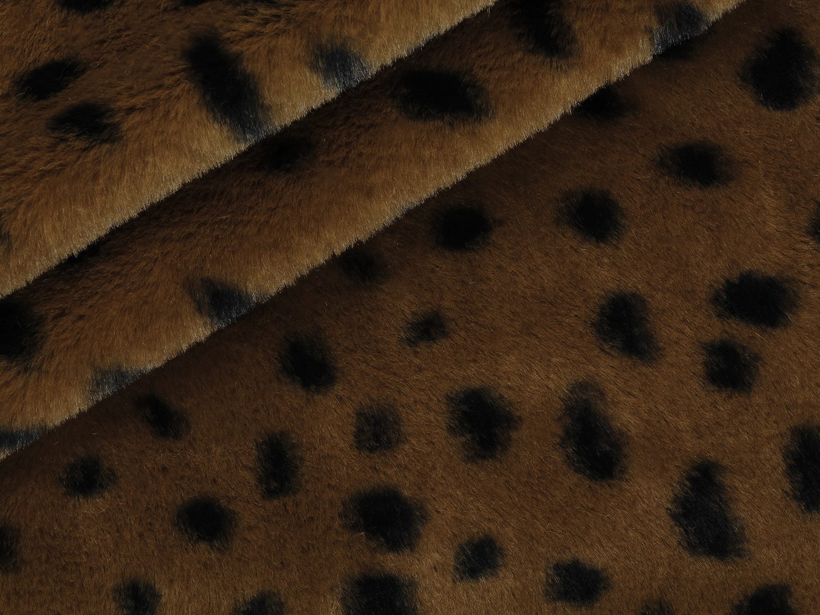 M11PL008200001