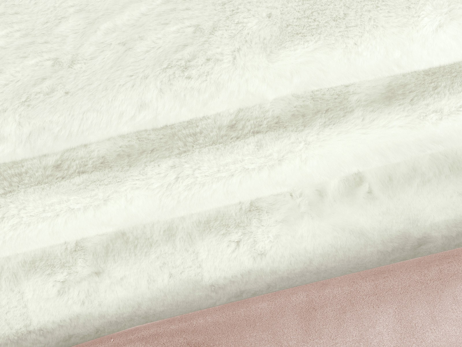 M11PL009200008