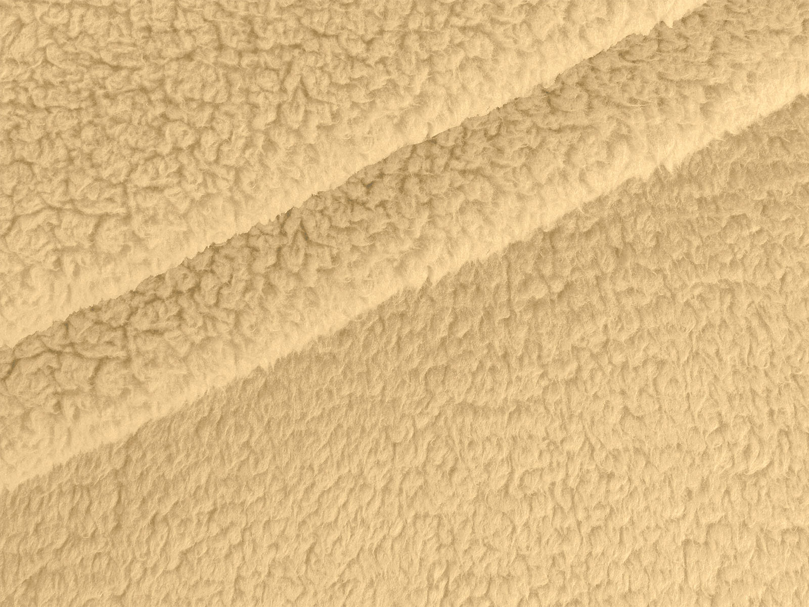 M11PL009300004
