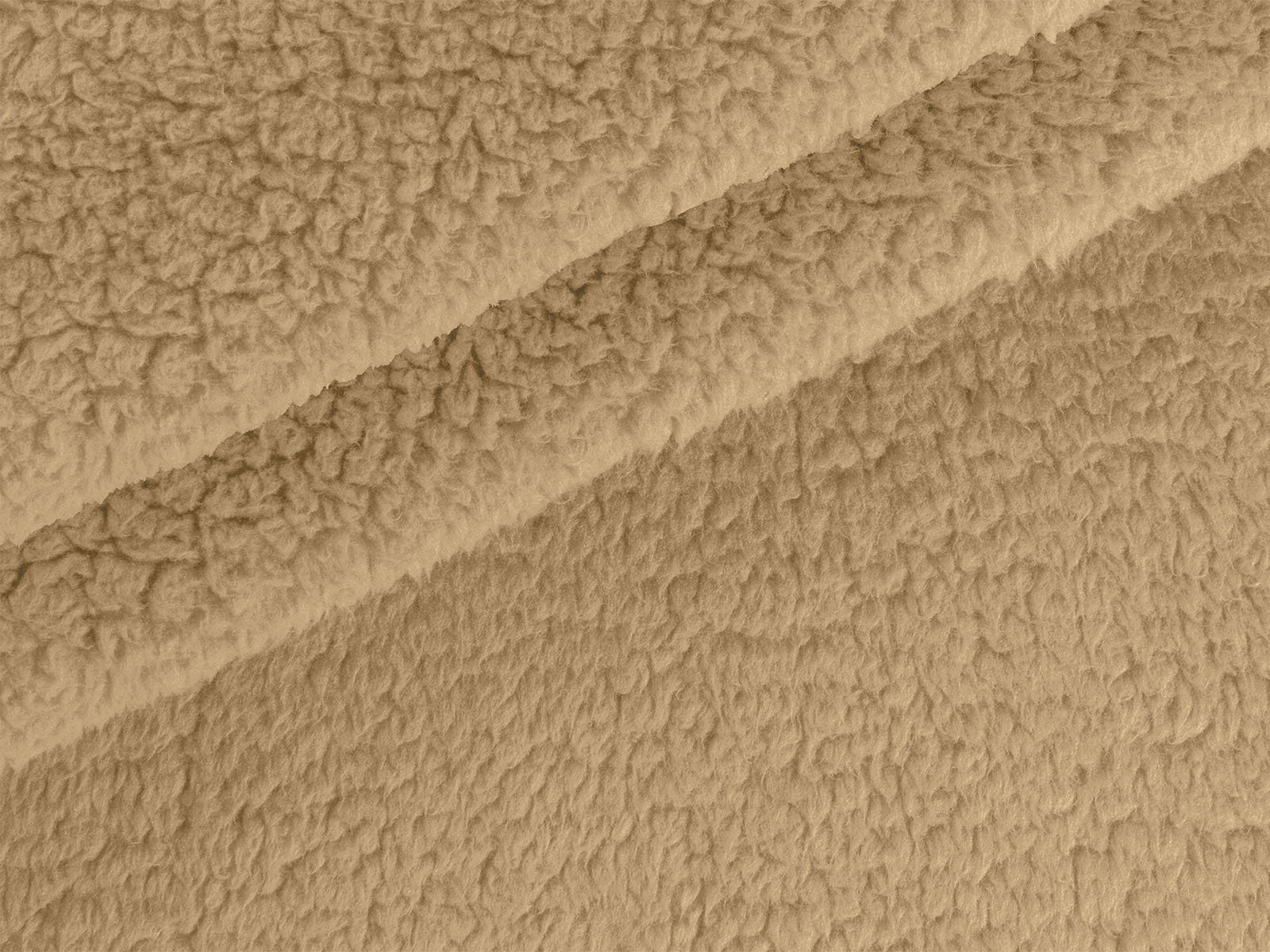 M11PL009300006