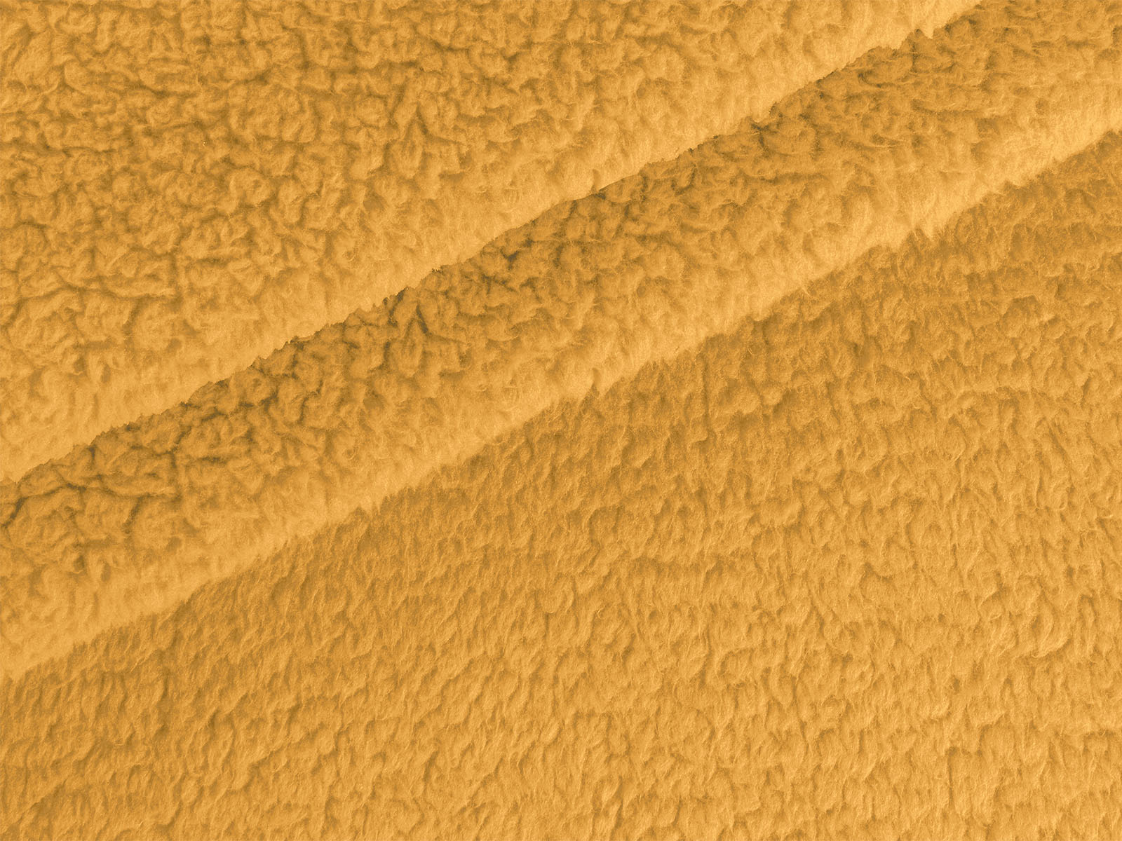 M11PL009300009