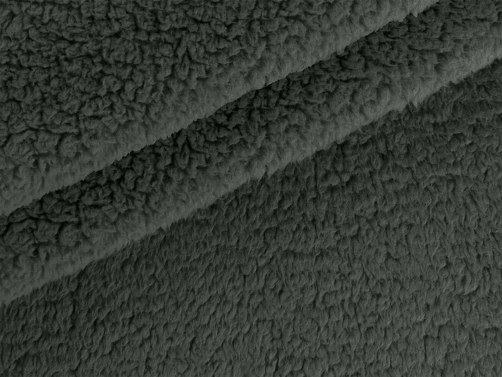 M11PL009300010