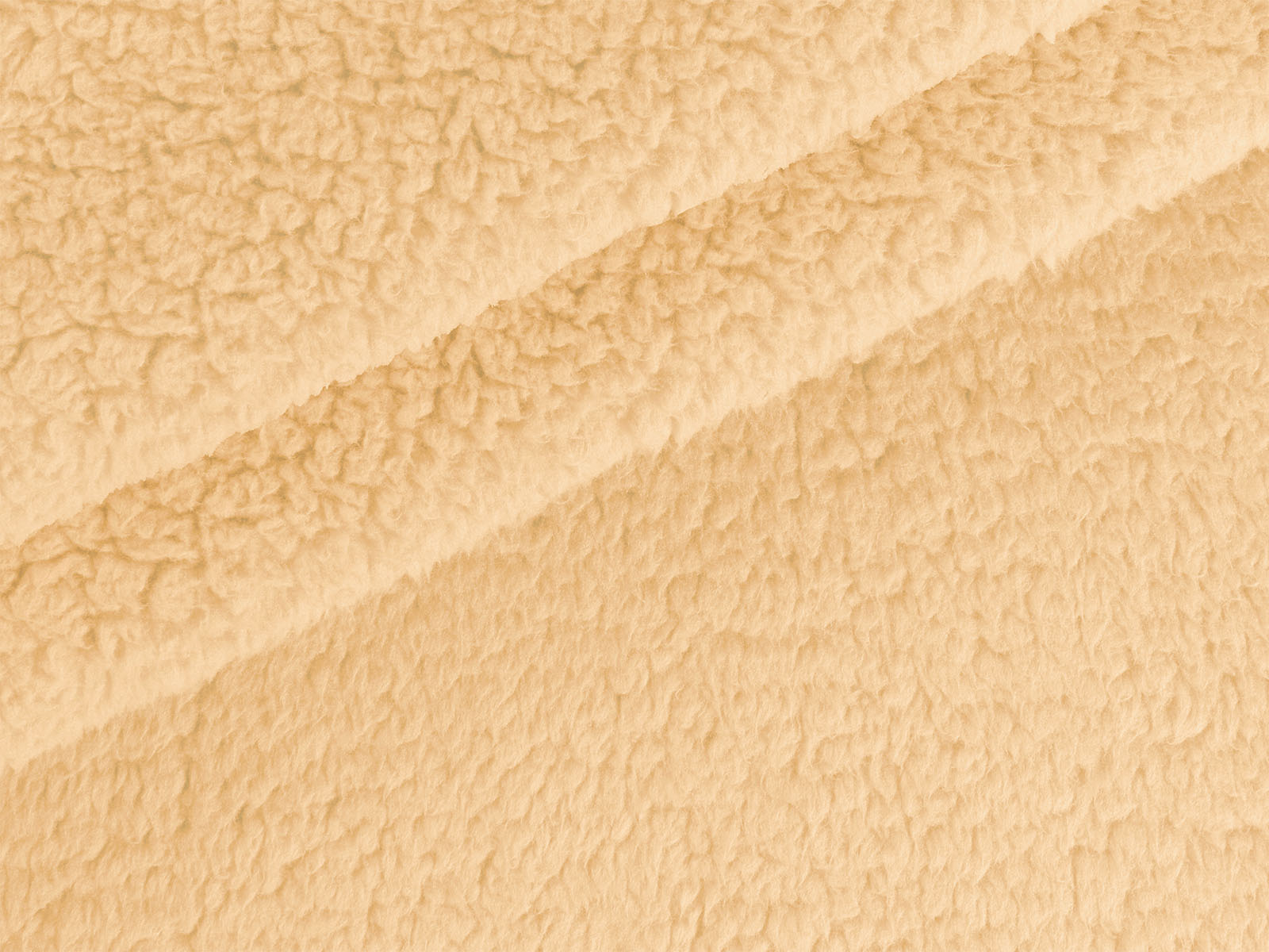 M11PL009300011