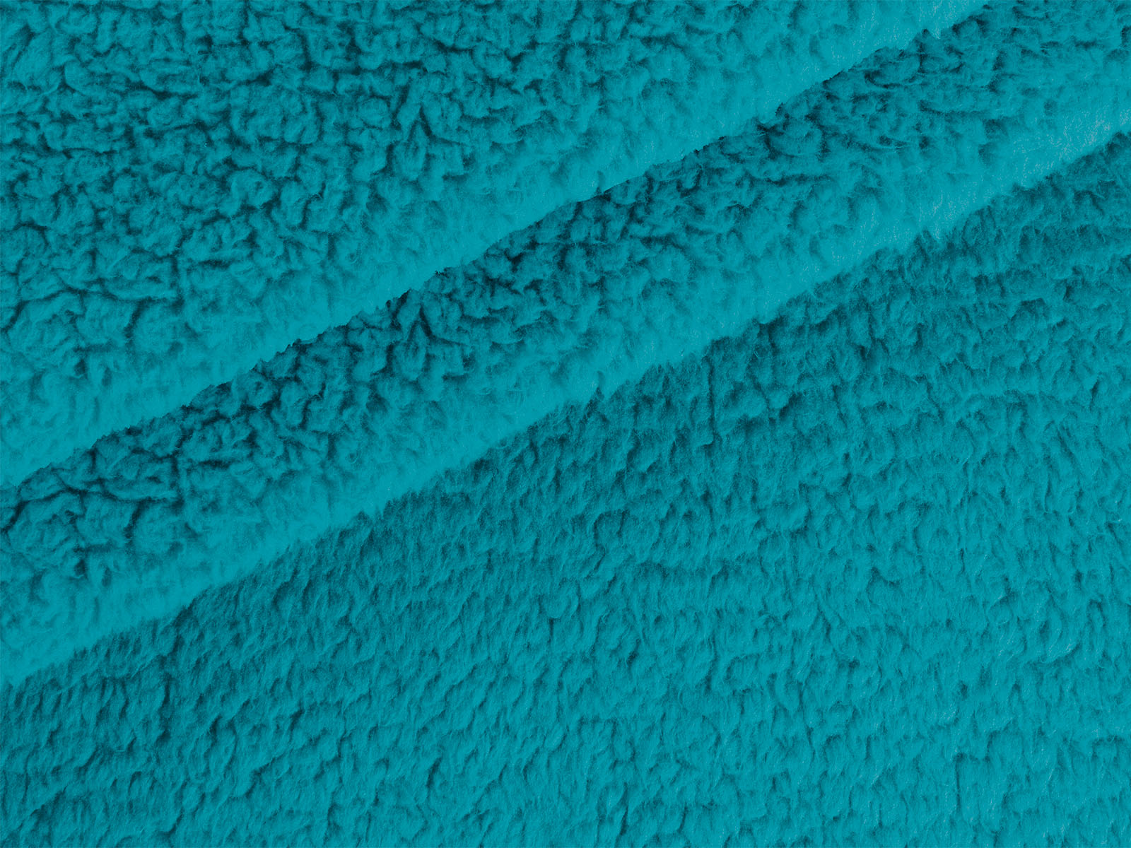 M11PL009300013