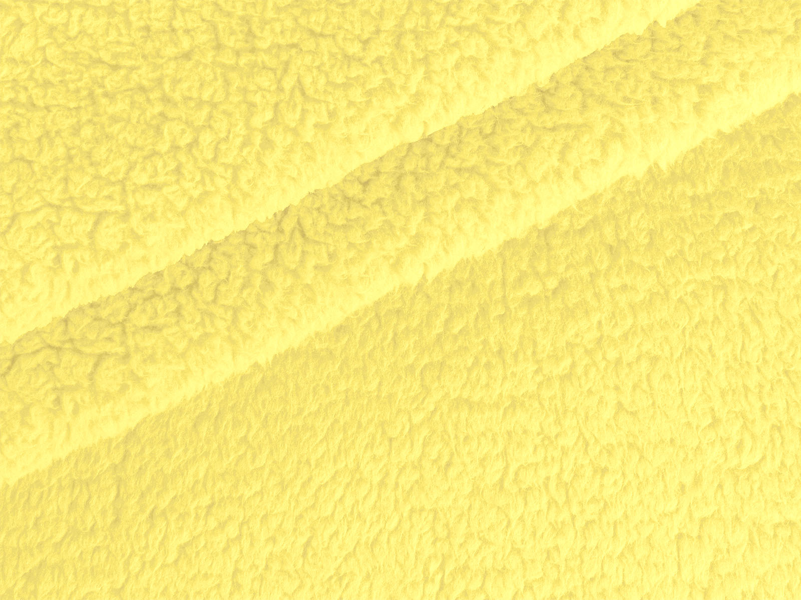 M11PL009300019
